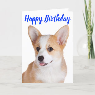 Grattis på födelsedagen Pembroke Welsh Corgi Puppy Kort