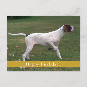 Grattis på födelsedagen! Photo hund Vykort