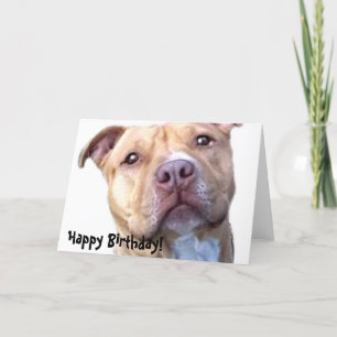 Grattis på födelsedagen Pitbull-hälsningskort Kort