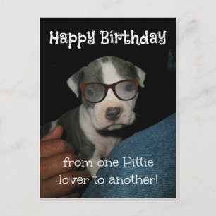 Grattis på födelsedagen Pittie Vykort