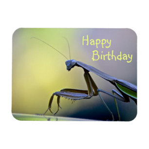 Grattis på födelsedagen Praying Mantis Magnet