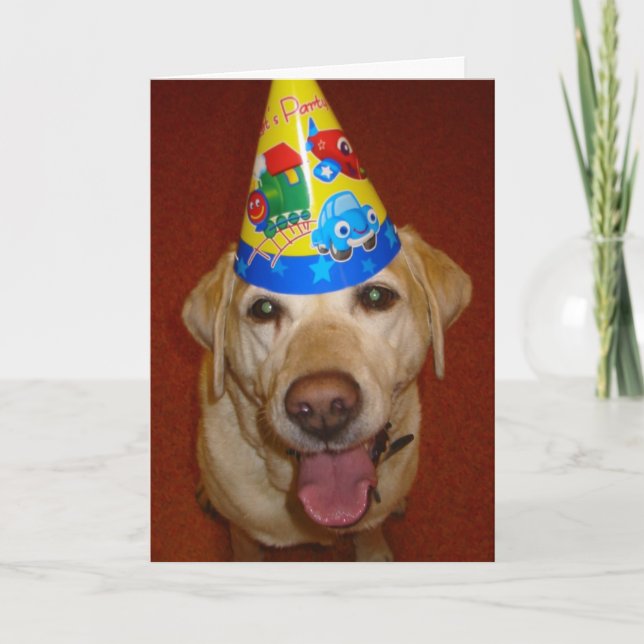 Grattis på födelsedagen Prima Kort (Framsida)