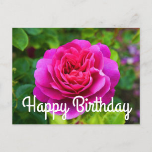 Grattis på födelsedagen Prinsessan Anne Rose #1 vy Vykort