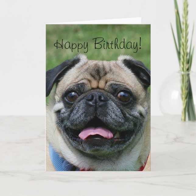Grattis på födelsedagen Pug-hälsningskort Kort (Framsida)