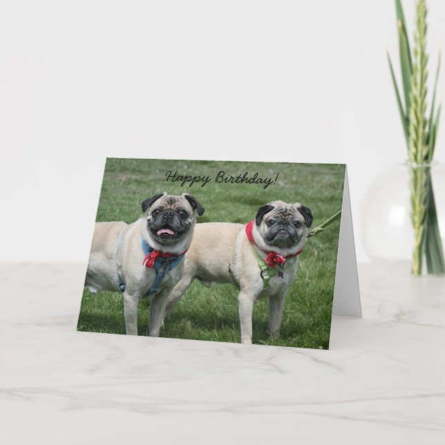 Grattis på födelsedagen Pug-hälsningskort Kort (Framsida)