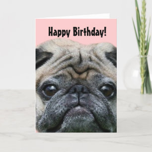 Grattis på födelsedagen Pug Hund-hälsningskort Kort