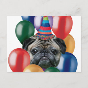 Grattis på födelsedagen Pug hund Vykort