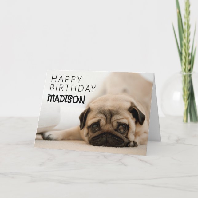 Grattis på födelsedagen | Pug Kort (Framsida)