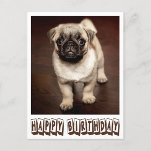 Grattis på födelsedagen Pug Puppy Hund Brown vykor Vykort