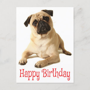 Grattis på födelsedagen Pug Puppy Hund vykort