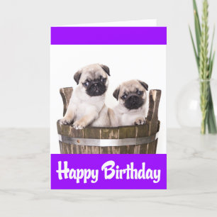 Grattis på födelsedagen pug Puppy Hundar Greeting  Kort