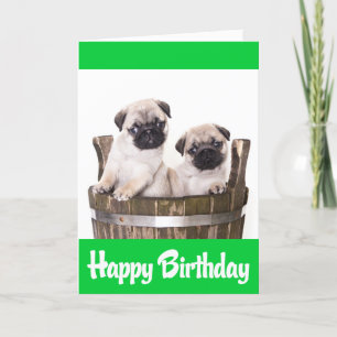 Grattis på födelsedagen pug Puppy Hundar Greeting  Kort
