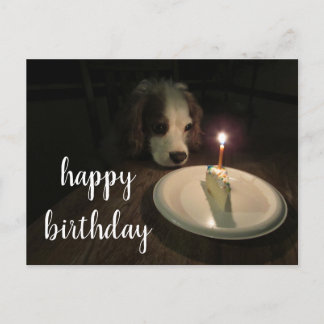 grattis på födelsedagen Puppy | vykort