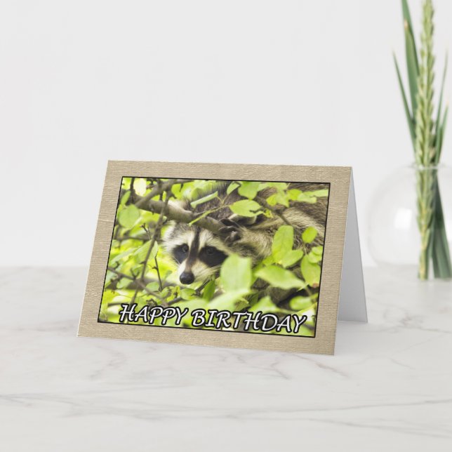 Grattis på födelsedagen Raccoon in Träd Card Kort (Framsida)
