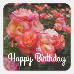 grattis på födelsedagen Rainbow Sorbet Ro #4 Stick Fyrkantigt Klistermärke