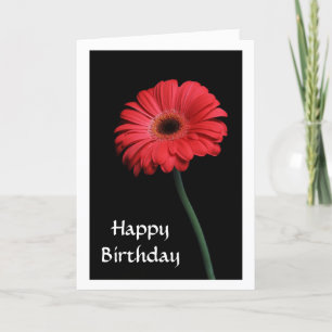 Grattis på födelsedagen Red Gerbera Daisy Greeting Kort