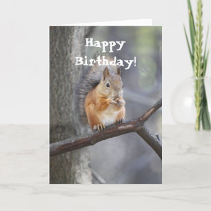 Grattis på födelsedagen Red Squirrel Greeting Card Kort