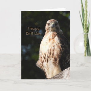 Grattis på födelsedagen Red Svan Hawk Kort