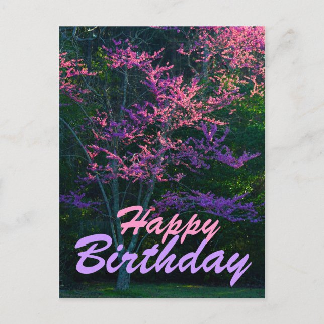 Grattis på födelsedagen - Redbud Flower Träd Vykort (Framsida)