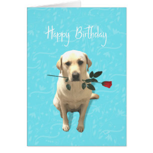 Grattis på födelsedagen, Retriever Hund med Ro, Ad Hälsningskort