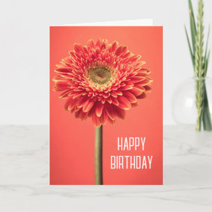 Grattis på födelsedagen Röd Barberton Gerbera Da Kort