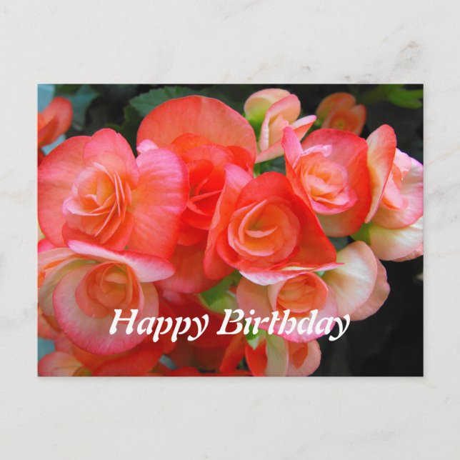 grattis på födelsedagen röda begonia blommor vykort (Framsida)