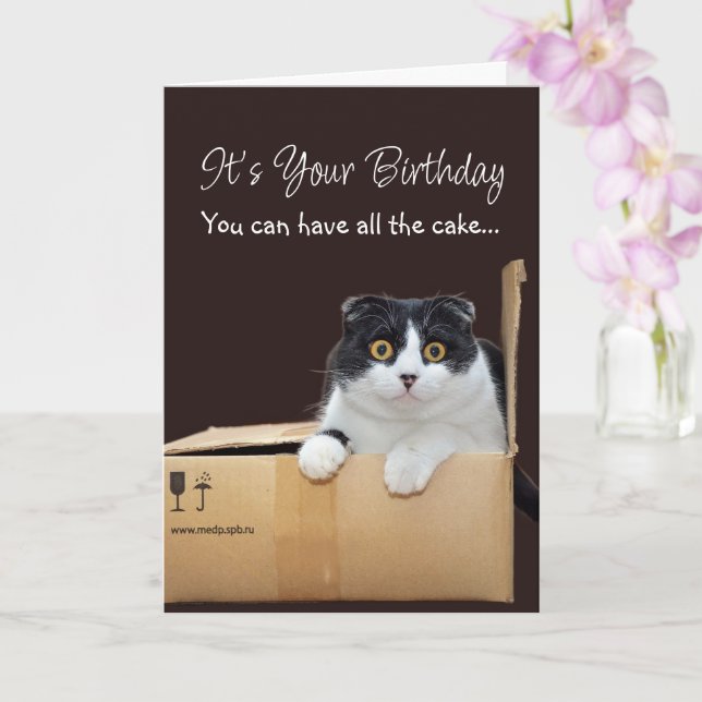 Grattis på födelsedagen Rolig katt  Kort (Orkide)