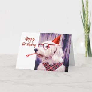 Grattis på födelsedagen Roligt Hund Pet Blank Insi Kort