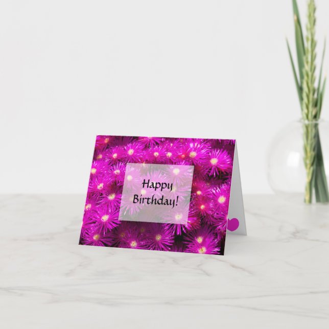 Grattis på födelsedagen. Rosa Aster blommor Kort (Framsida)