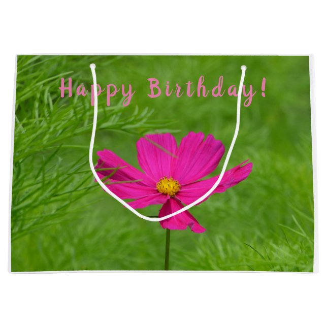 Grattis på födelsedagen Rosa Cosmos (Framsidan)