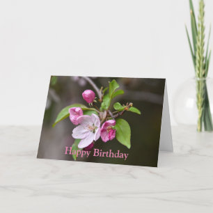 Grattis på födelsedagen Rosa Crab Apple Flowers Ca Kort