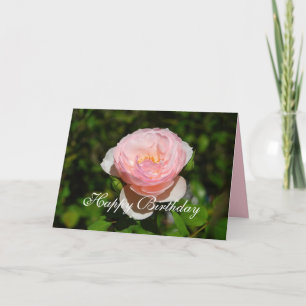 Grattis på födelsedagen Rosa Engelska Ro Kort