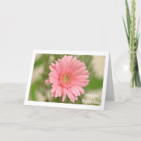 Grattis på födelsedagen Rosa Gerbera Daisy Greetin