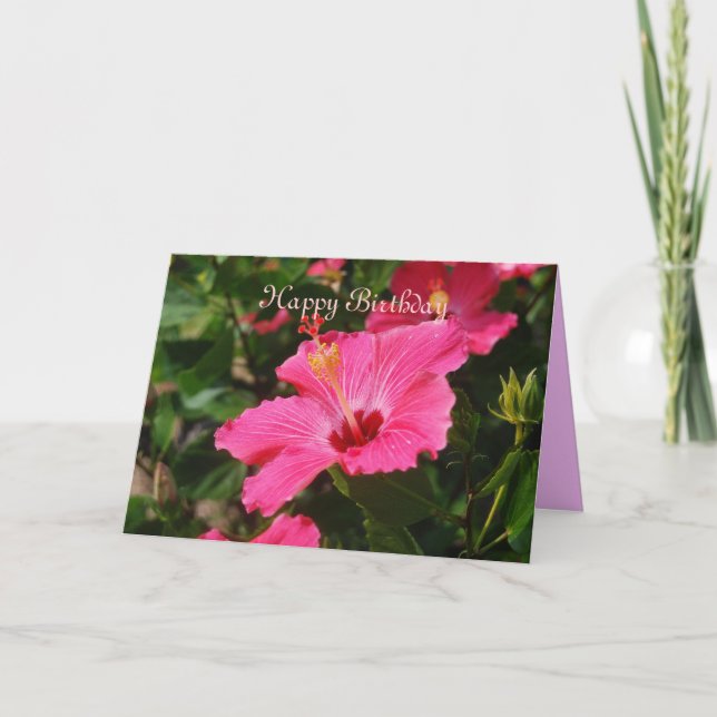 Grattis på födelsedagen Rosa Hibiscus Kort (Framsida)