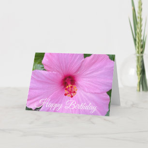 Grattis på födelsedagen Rosa Hibiskus Blomma Kort