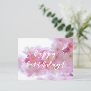 Grattis på födelsedagen! Rosa körsbärsblomster vyk Vykort