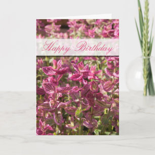 grattis på födelsedagen Rosa Löv på växtstavlor Ph Kort