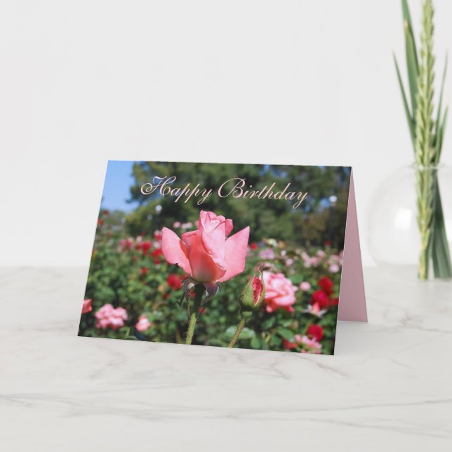 Grattis på födelsedagen Rosa ros i Garden Kort (Framsida)