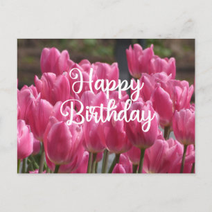Grattis på födelsedagen Rosa Tulpan Blommor Vykort