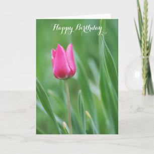 Grattis på födelsedagen rosa tulpanblomma för vår kort