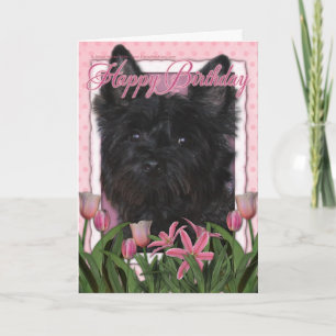 Grattis på födelsedagen - röseTerrier - Rosco Kort