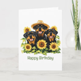Grattis på födelsedagen Rottweiler Hundar Solblomm Kort