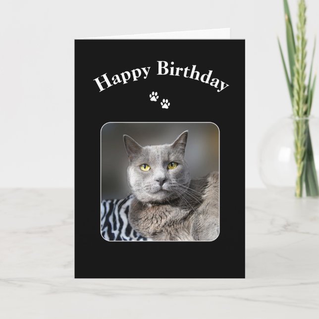 Grattis på födelsedagen ryska blå katt kort (Framsida)