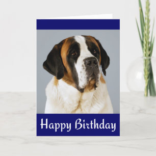 Grattis på födelsedagen Saint Bernard Puppy-Hund Kort