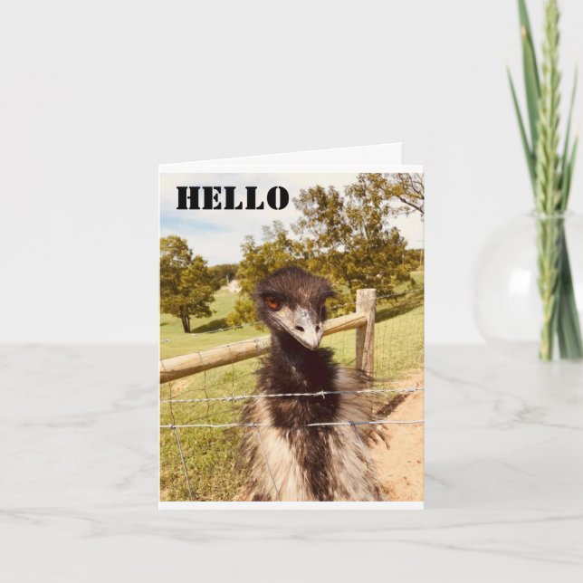 ’GRATTIS PÅ FÖDELSEDAGEN’ SAYS OSTRICH KORT (Framsida)