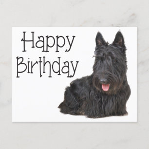 Grattis på födelsedagen Scottish Terrier Puppy Pos Vykort