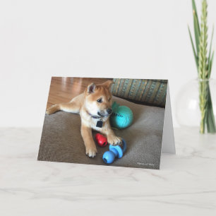 Grattis på födelsedagen Shiba Inu-valp Färgglada l Kort