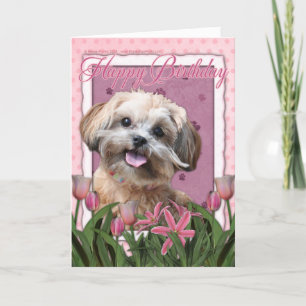 Grattis på födelsedagen - Shih Poo - Maggie Kort