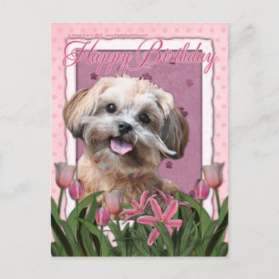 Grattis på födelsedagen - Shih Poo - Maggie Vykort