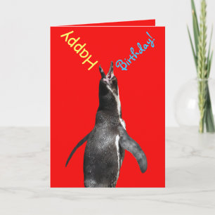 Grattis på födelsedagen! Shouting Penguin Funny Ca Kort